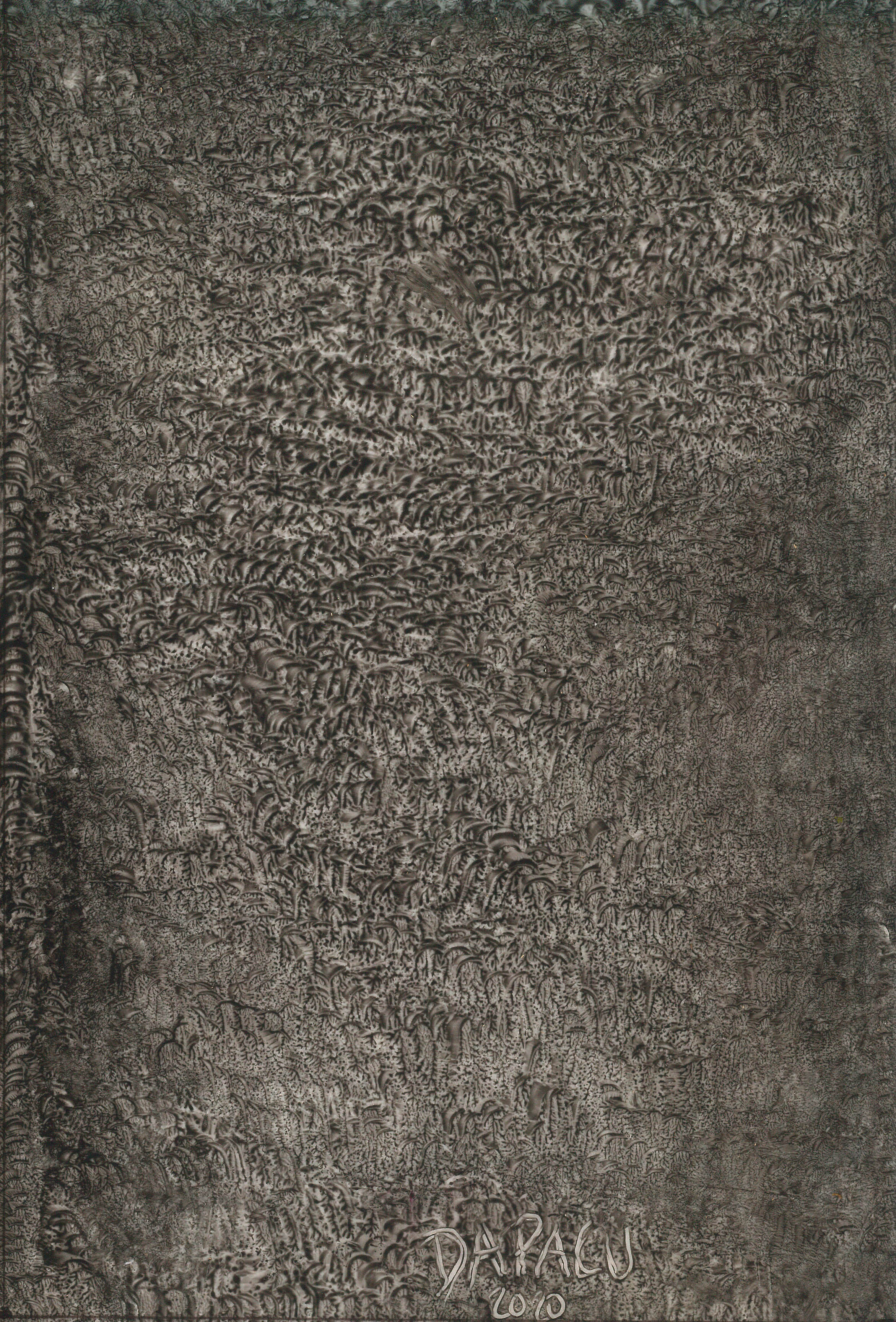 Paintings Exhibitions